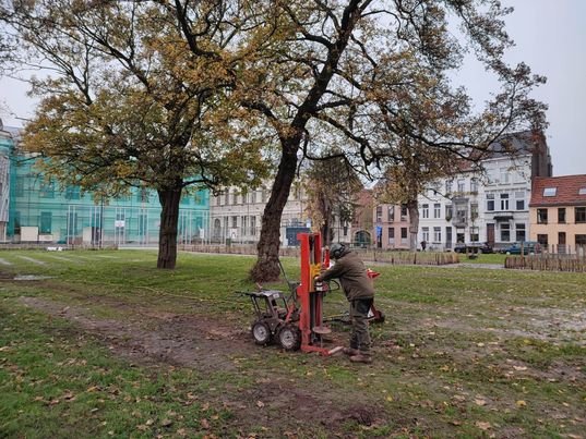 Stronkfrees aan het werk in een park